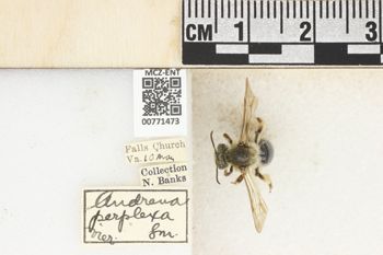 Media type: image;   Entomology 771473 Aspect: Labels